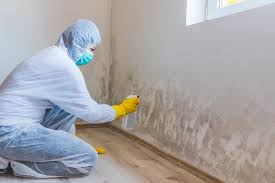 Best Mold Odor Removal Services  in Montrose, MN